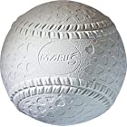 DAIWA MARUESU(ダイワマルエス) 少年野球 軟式 ボール 公認球 J号 (小学生用) 1ダース 15910S ホワイト