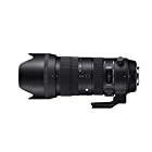 SIGMA 70-200mm F2.8 DG OS HSM | Sports S018 | Canon EFマウント | Full-Size/Large-Format