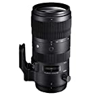 SIGMA 70-200mm F2.8 DG OS HSM | Sports S018 | Nikon Fマウント | Full-Size/Large-Format