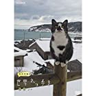 【NHKスクエア限定】岩合光昭の世界ネコ歩き 能登 ブルーレイ