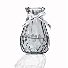 花瓶 一輪挿しガラスフラワーベース ガラス製 花器 透明 ミニ花器 高さ15CM、 小さな口