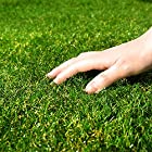 アイリスオーヤマ 国産 防草人工芝 2m×10m 芝丈3cm 防カビ仕様 防草仕様なので雑草対策不要 RP-30210