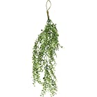 ケーアイジャパン インテリアグリーン 造花 観葉植物 光触媒 フェイクグリーン ミニシェルリーフ 60cm