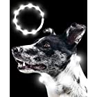 Qbit LED 犬光る首輪 【視認距離400mで夜間も安心】 犬 猫 光る 首輪 ライト 夜 散歩USB 充電式 小型犬 中型犬 大型犬 サイズ調節可能 ホワイト