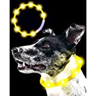Qbit LED 犬光る首輪 【視認距離400mで夜間も安心】 犬 猫 光る 首輪 ライト 夜 散歩USB 充電式 小型犬 中型犬 大型犬 サイズ調節可能 イエロー