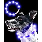 Qbit LED 犬光る首輪 【視認距離400mで夜間も安心】 犬 猫 光る 首輪 ライト 夜 散歩USB 充電式 小型犬 中型犬 大型犬 サイズ調節可能 ブルー