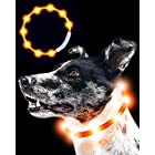 Qbit LED 犬光る首輪 【視認距離400mで夜間も安心】 犬 猫 光る 首輪 ライト 夜 散歩USB 充電式 小型犬 中型犬 大型犬 サイズ調節可能 オレンジ