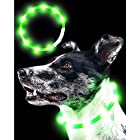 Qbit LED 犬光る首輪 【視認距離400mで夜間も安心】 犬 猫 光る 首輪 ライト 夜 散歩USB 充電式 小型犬 中型犬 大型犬 サイズ調節可能 グリーン