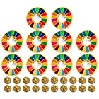 【国連本部公式最新仕様】SDGs バッジ 25mm金色七宝焼き【10個】SDGsバッチ ピンバッチ SDGs 帽子 バッグにも最適 かわいい 留め具30個付き