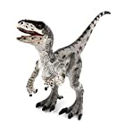 SanDoll 恐竜 ヴェロキラプトル フィギュア リアル 模型 ジュラ紀 爬虫類 迫力 肉食 子供玩具 プレゼント ディスプレイ 返品安心保障付き 恐竜おもちゃ (ヴェロキラプトル)