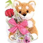 【 liLYS epice 】 リリスエピス プリザーブドフラワー 柴犬 ぬいぐるみ 一輪の薔薇 プレゼント お祝い 記念日 誕生日 母の日 ギフト sp1sb (ストロベリーピンク)