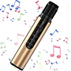 【リラックス】RELAX iSong アイソング Microphone ＆ Speaker カラオケマイク Bluetooth ESP0203603 (ゴールド)