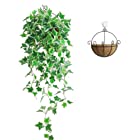 Kugusa フェイク インテリア グリーン 吊るし ハンギング バスケット 人工 観葉植物 (アイビー・斑入り)
