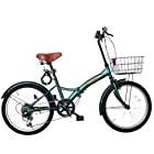 AIJYU CYCLE 自転車 折りたたみ自転車 20 インチ ミニベロ [AJ-0201] (モスグリーン)