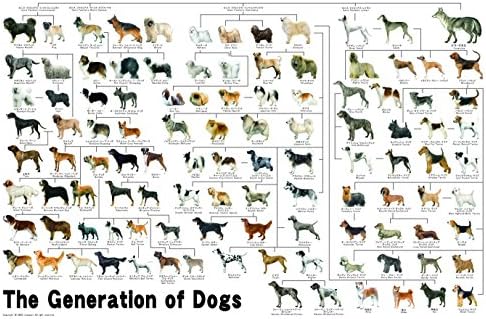 1000ピース ジグソーパズル めざせパズルの達人 犬の系統図(50x75cm)