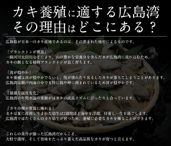 カキフライ 700g（大粒20粒）広島県産 牡蠣 かき