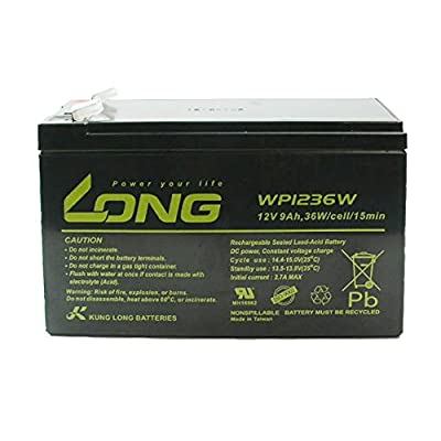 ヤマダモール | LONG サイクルバッテリー WP1236W(産業用鉛蓄電池) 2個