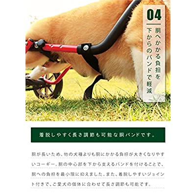 ヤマダモール | PaletteLife 犬用車椅子 コーギー専用 ドッグ