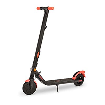 Segway-Ninebot Kickscooter ES1LD