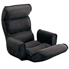 サンワダイレクト 座椅子 ひじ掛け付き ハイバック 頭部/背もたれ/脚部 各14段階調節可能 低反発ウレタン リクライニング ブラック 150-SNC103BK