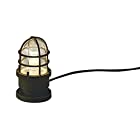 コイズミ照明 ガーデンライト 白熱球60W相当 電球色 茶色塗装 AU40188L