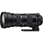 SIGMA 150-600mm F5-6.3 DG OS HSM | Sports S014 | Nikon F-FXマウント | Full-Size/Large-Format