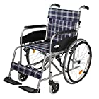 ケアテックジャパン 自走式 スチール製 折りたたみ 車椅子 ウィッシュ CS-10