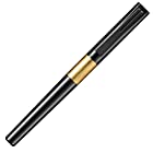 トンボ鉛筆 水性ボールペン ZOOM 韻 箸 黄金 BW-ZYH06