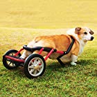 PaletteLife 犬用車椅子 コーギー専用 ドッグウォーカー 犬用歩行器 リハビリ用歩行補助具 日本製