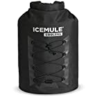 ICEMULE(アイスミュール) アウトドア 保冷・保温 バックパックタイプ プロクーラー 23L ブラック 【日本正規品】 59411