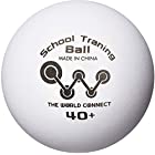 [ザ] ワールドコネクト 卓球 ボール TWC スクール トレーニングボール 40＋ 100球入 DV010