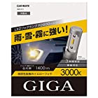 カーメイト 車用 LED フォグランプ GIGA F2800シリーズ HB4 3000K 明るいイエロー光 1400lm 車検対応 BW5121