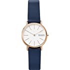 [スカーゲン] 腕時計 SIGNATUR SKW2838 レディース 正規輸入品 ブルー