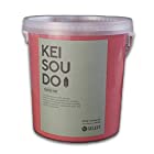 珪藻土 塗り壁 壁材 塗料 KEISOUDO PLASTER TYPE (5kg, ROUGE)