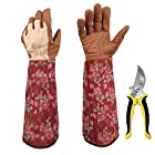 Treedeng ガーデングローブ バラグローブ バラ手袋 園芸用手袋 女性用 レディース トゲ防止 ローズグローブ 長袖 前腕保護 花柄 柔らかい