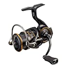 ダイワ(DAIWA) 21 カルディア LT2500S