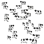 Freell フリール 牛 白黒 乳牛 牧場 30頭 セット 1:150 牛模型 動物模型 動物 家畜 農場 牧場フィギュア 鉄道模型 ジオラマ 制作 ミニチュア