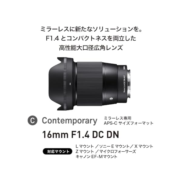 ヤマダモール | SIGMA 16mm F1.4 DC DN | Contemporary C017 | Sony E 