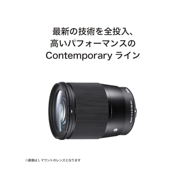 ヤマダモール | SIGMA 16mm F1.4 DC DN | Contemporary C017 | Sony E