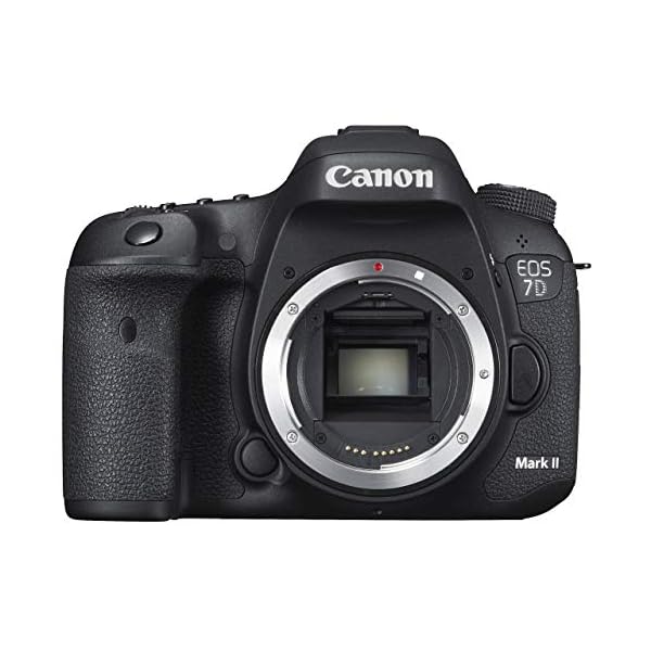 ヤマダモール | Canon デジタル一眼レフカメラ EOS 7D Mark IIボディ