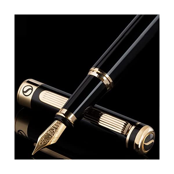 Scriveiner 最高級 プレミアム 万年筆（黒）魅力的な美しさ 24K金