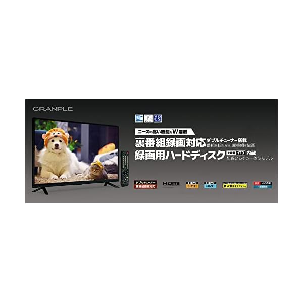 1TB HDD内蔵録画可！GRANPLE グランプレ 32型 テレビ 21年製モニター