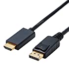 エレコム 変換ケーブル HDMI DisplayPort 2.0m ブラック CAC-DPHDMI20BK