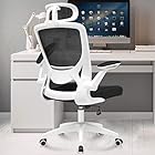 KERDOM パソコンチェア オフィスチェア 椅子 テレワーク 人間工学椅子 デスクチェア 疲れない 勉強 学習 ランバーサポート付き 360度回転 腰に良い 人気 おしゃれ 白