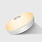 ArcLight 人感センサーライト LEDライト シーリングライト 小型 1100lm 電球色 天井照明器具 おしゃれ 玄関 門灯 廊下 台所 洗面所 トイレ 室内 室外 省エネ 取付簡単 工事不要 日本語取扱説明書（1個）…