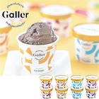 『ベルギー王室ご用達ガレー』監修のチョコレートアイスクリーム　ガレープレミアムアイスクリーム８個セット