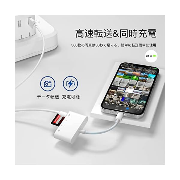 ヤマダモール | iPhone/iPad用 SD カードリーダー【2023 MFi認証製品 ...