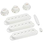 Fender フェンダー パーツ VINTAGE-STYLE STRATOCASTER ACCESSORY KIT AGED WHITE 991362000