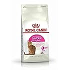 ロイヤルカナン FHN エクシジェント35/30 猫用 2kg