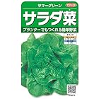 サカタのタネ 実咲野菜3670 サラダ菜 サマーグリーン 00923670